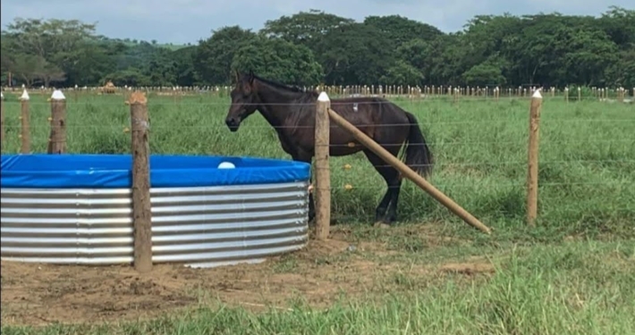 Tanque australiano de bebedero para ganaderia