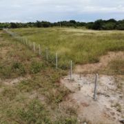 Terreno con postes ecológicos