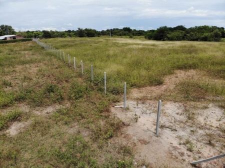 Terreno con postes ecológicos