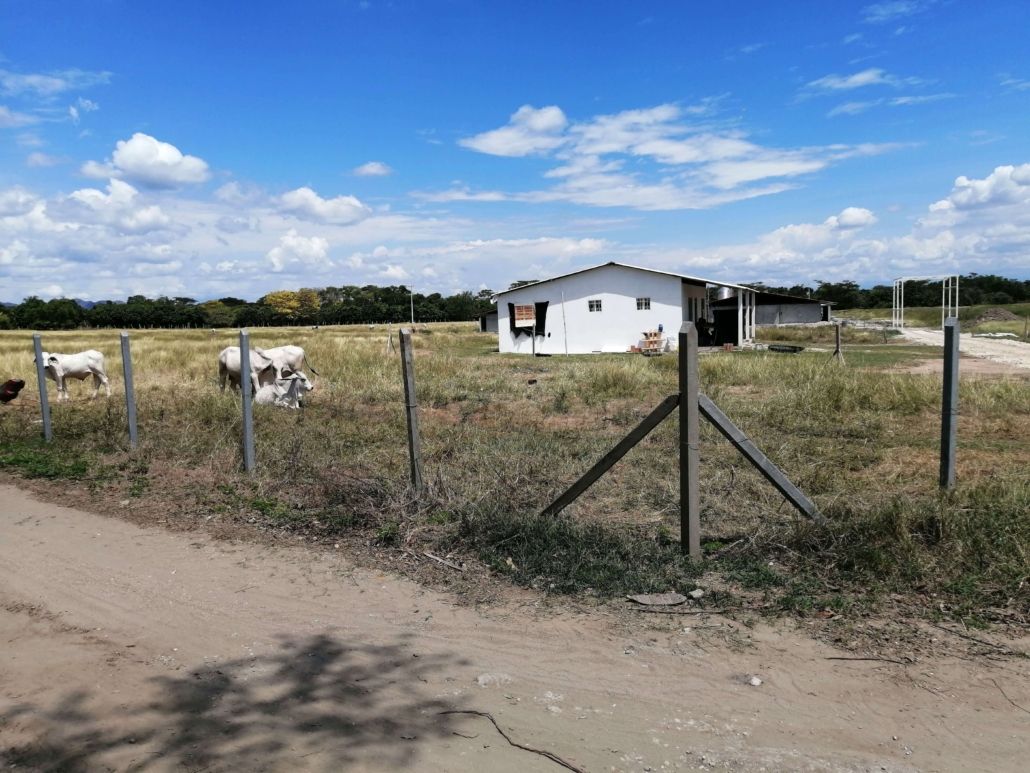 Finca cercada con postes ecológicos