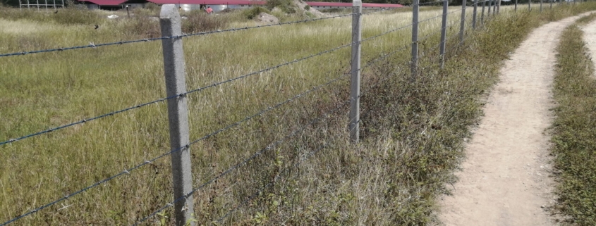 Cercado de postes con alambre de púa